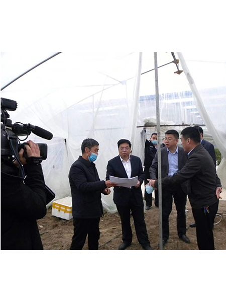 3.30:縣委張乾山書記帶領(lǐng)相關(guān)部門領(lǐng)導(dǎo)再科技園檢查指導(dǎo)現(xiàn)代農(nóng)業(yè)生產(chǎn)